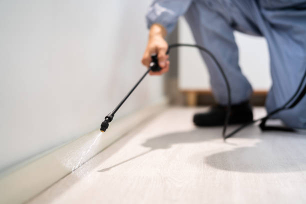 Licensed Pest Control service in Heath, TX - Show Me Pest Control