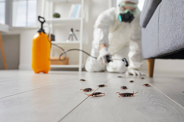 Commercial Kitchen Cockroach Control in Heath